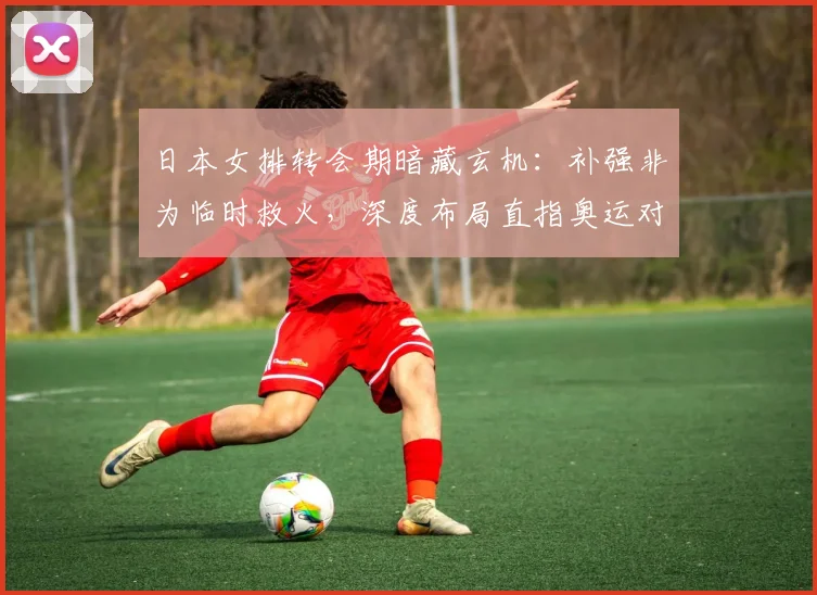 日本女排转会期暗藏玄机：补强非为临时救火，深度布局直指奥运对手