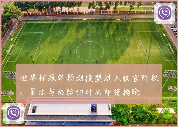 世界杯冠军预测模型进入收官阶段，算法与经验的对决即将揭晓