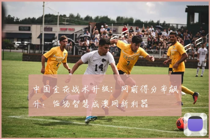 中国金花战术升级：网前得分率飙升，临场智慧成澳网新利器