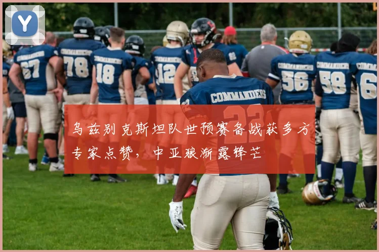 乌兹别克斯坦队世预赛备战获多方专家点赞，中亚狼渐露锋芒