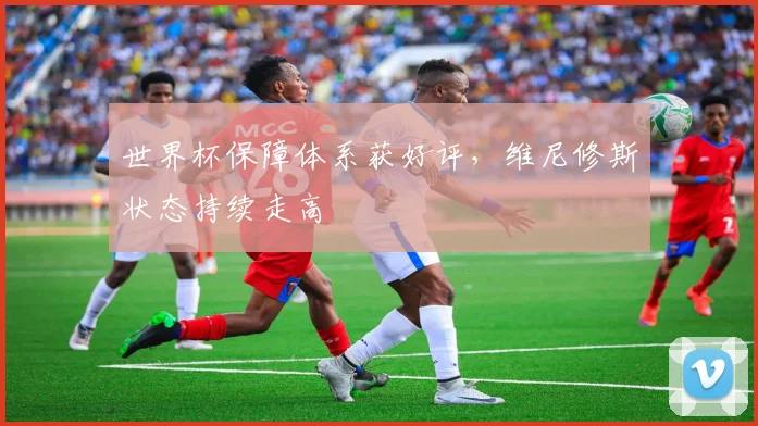 世界杯保障体系获好评，维尼修斯状态持续走高