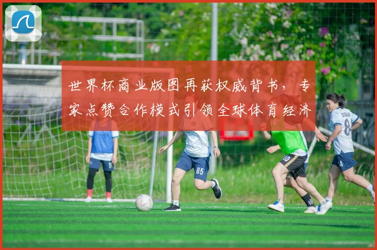 世界杯商业版图再获权威背书，专家点赞合作模式引领全球体育经济新趋势