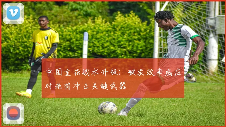 中国金花战术升级：破发效率成应对老将冲击关键武器